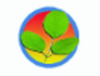 Moringa Foundatio.. http://lnkd.in/uuxx3d